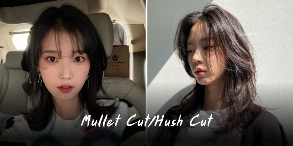 Mullet CutHush Cut