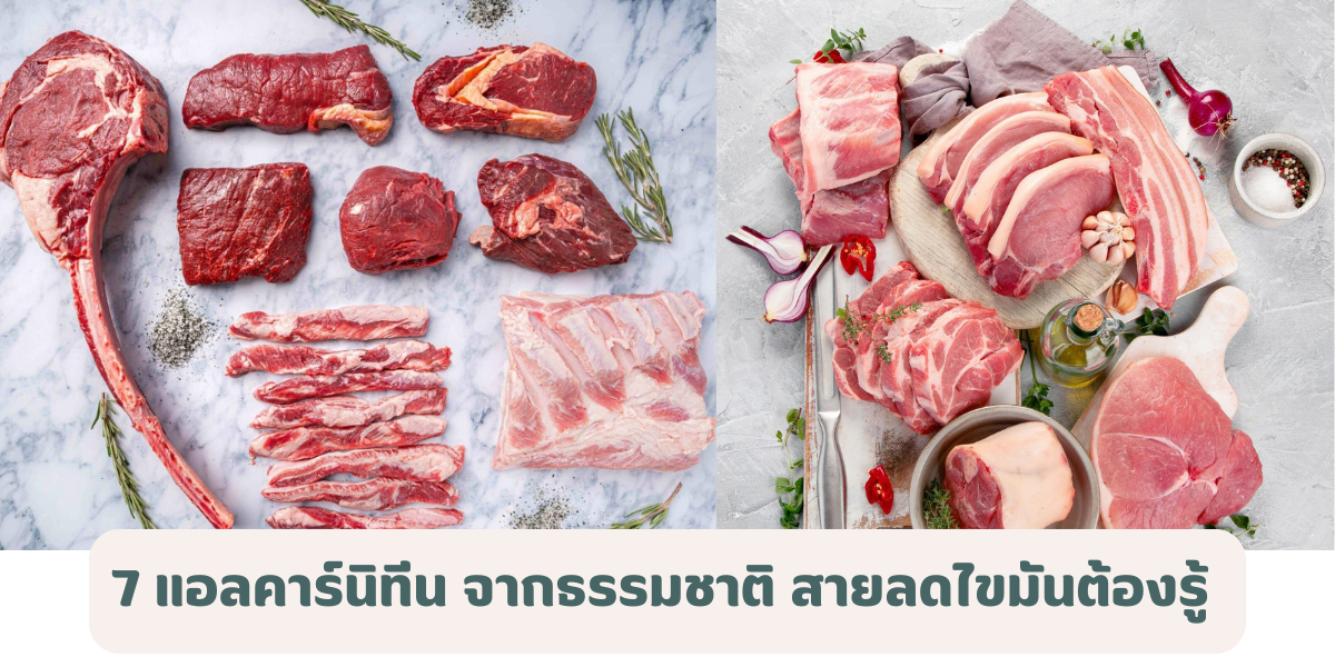 7 แอลคาร์นิทีน จากธรรมชาติ สายลดไขมันต้องรู้ กินแบบไหนช่วยดูแลหุ่นให้ลีนขึ้น 